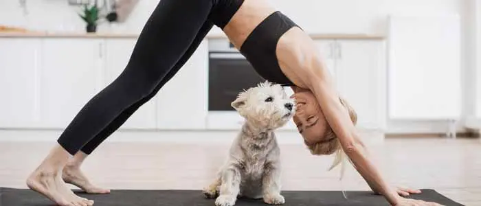 woman doing yoga with her small scottie dog