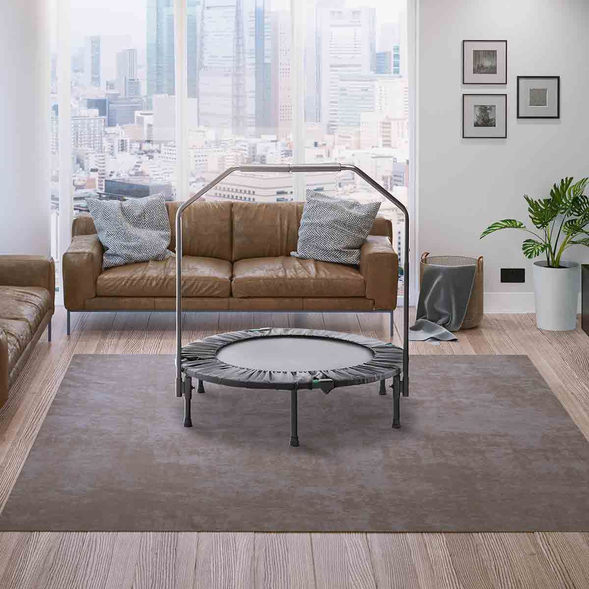 mini trampoline for home workouts