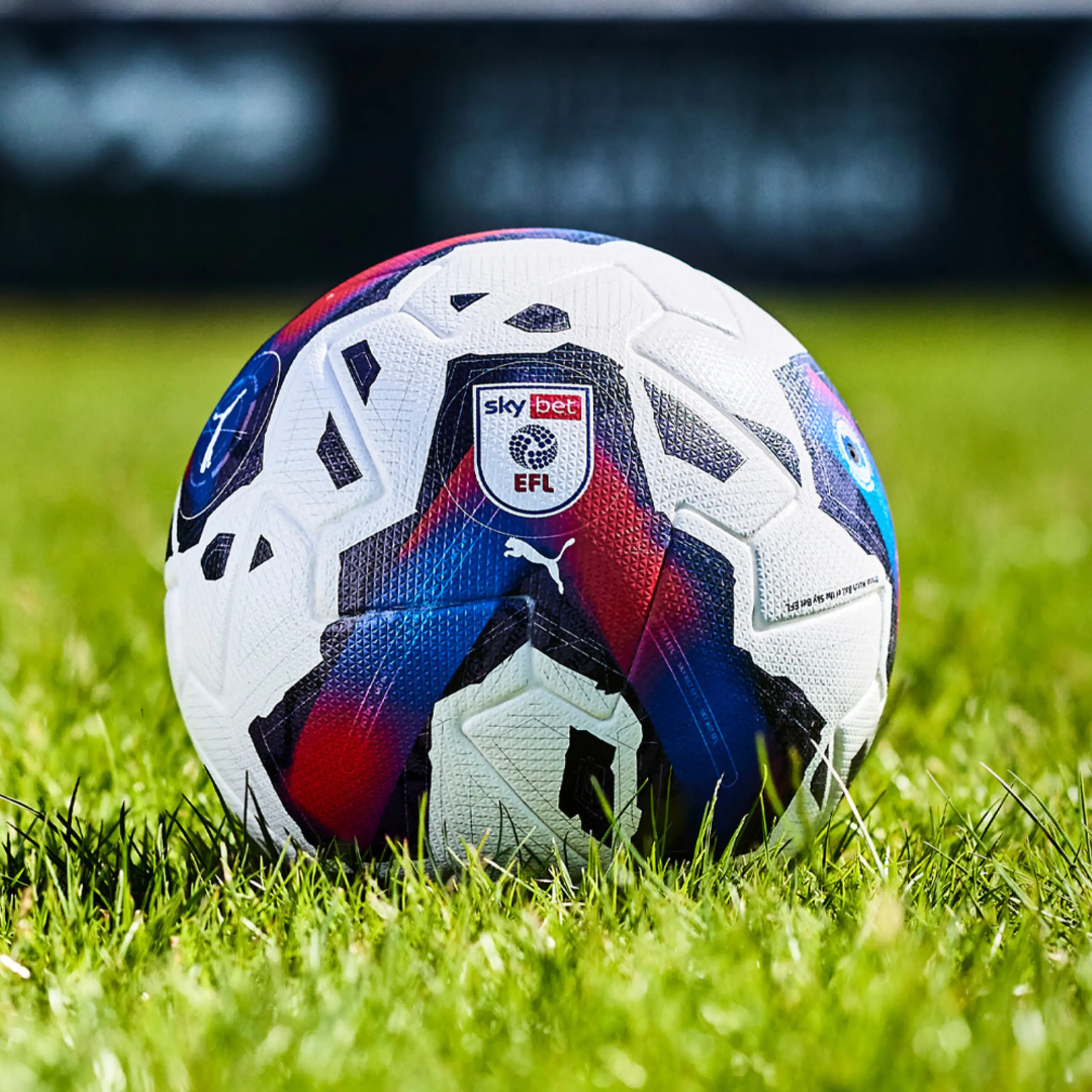 Team Sports Equipment